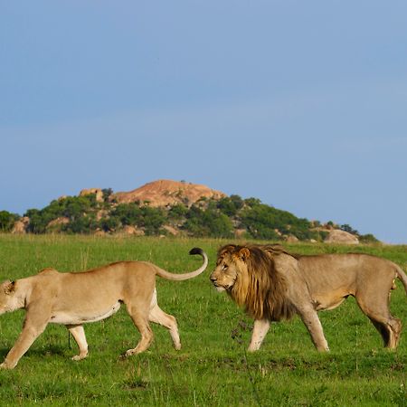 Nkomazi Game Reserve By Newmark 바드플라스 외부 사진