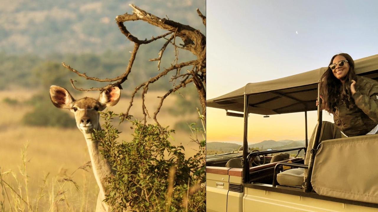 Nkomazi Game Reserve By Newmark 바드플라스 외부 사진