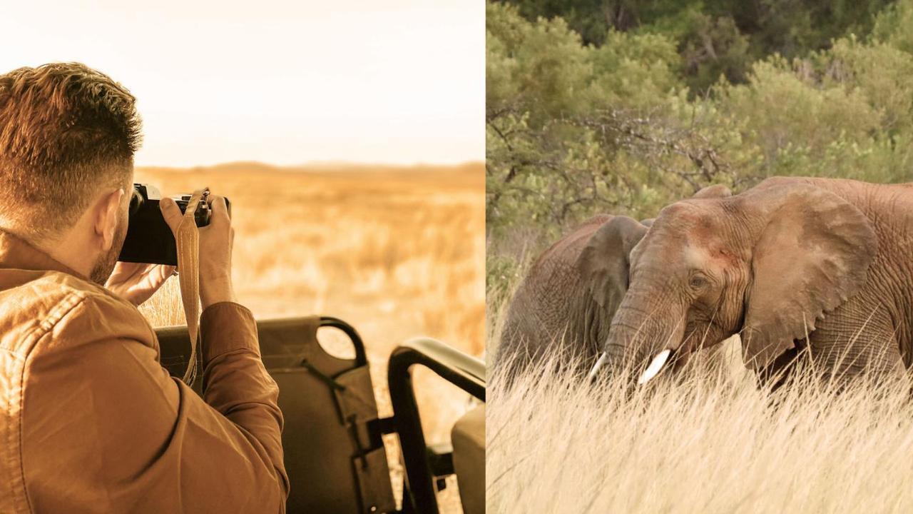 Nkomazi Game Reserve By Newmark 바드플라스 외부 사진