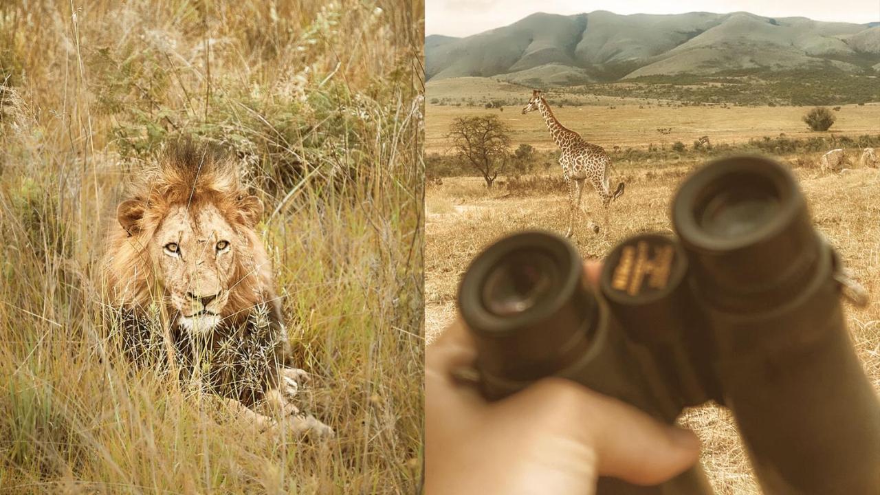 Nkomazi Game Reserve By Newmark 바드플라스 외부 사진