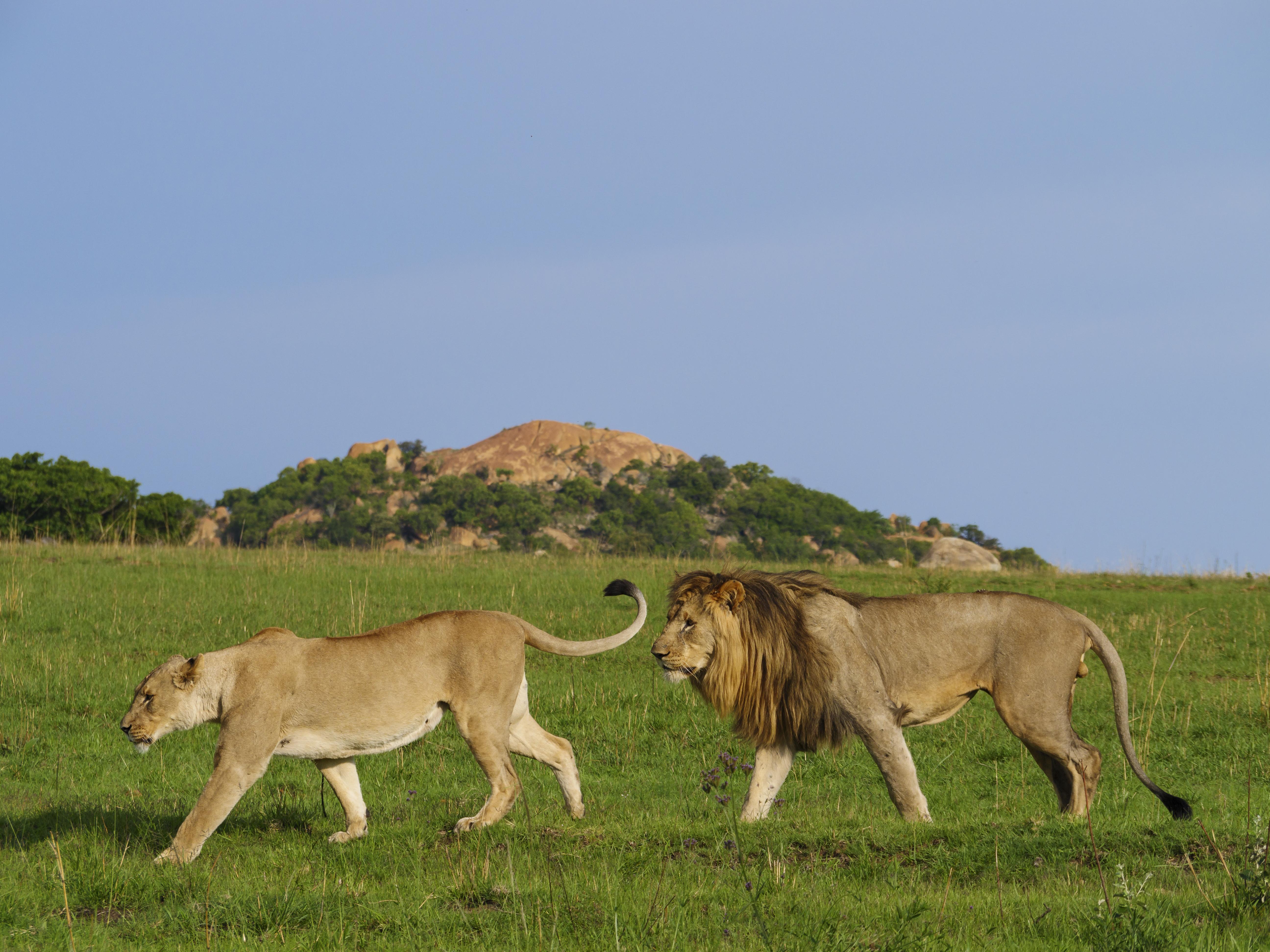 Nkomazi Game Reserve By Newmark 바드플라스 외부 사진